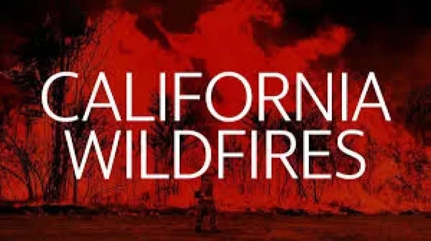 Verona Fire Burns Nearly 10 Acres North of Homeland