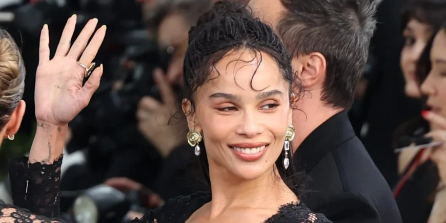 Zoë Kravitz Turns Harry Styles Tour Complaints Into Amsterdam Attention