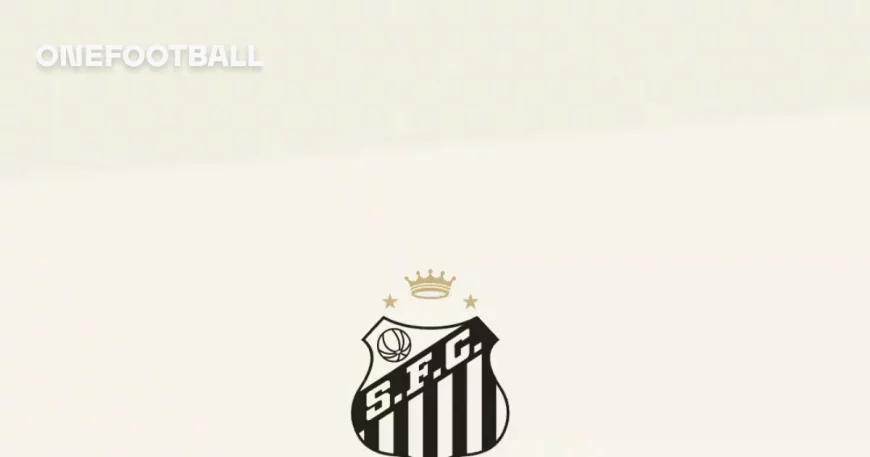 Neymar Doubtful as Santos Vs San Lorenzo Turns on Group D