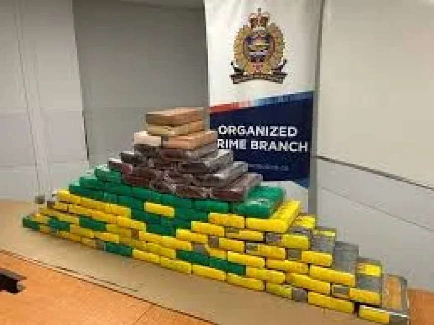 Edmonton police seize $8 million in drugs in Edmonton News probe