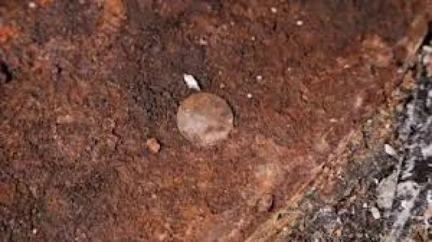 Andrew Baines links six finds to Hms Victory Mast Coins