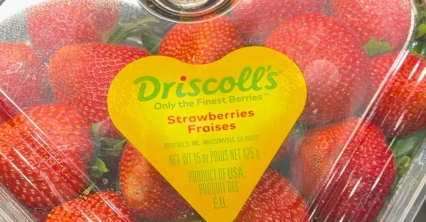 Mamavation Finds 12 Pesticides on Driscoll Strawberries