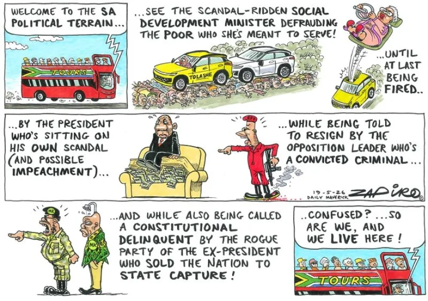 Julius Malema and VBS cash comment appears in Daily Maverick piece