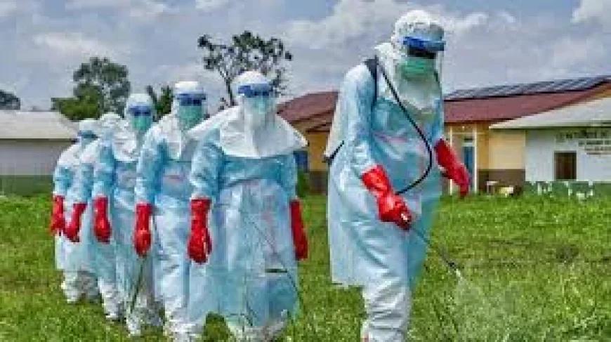 WHO Warns Ebola Vaccine Response Must Match Congo Spread