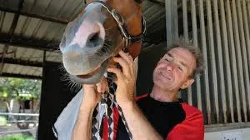 Shane Mcgovern Jockey Dies After Charters Towers Trackwork Accident