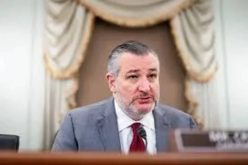 Ted Cruz says Blanche fund drew GOP pushback over $1.776 billion
