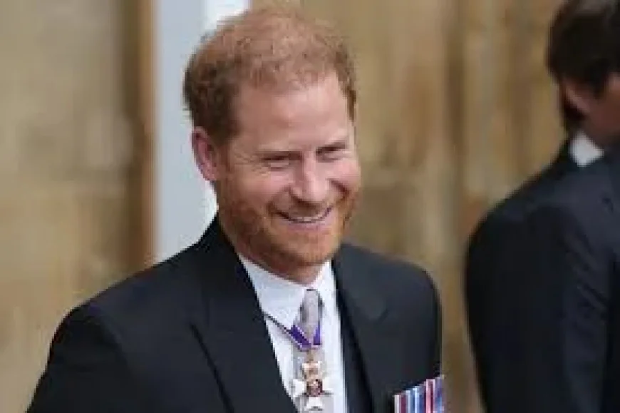 Mike Tindall jokes Prince Harry was fun at Hay Literary Festival