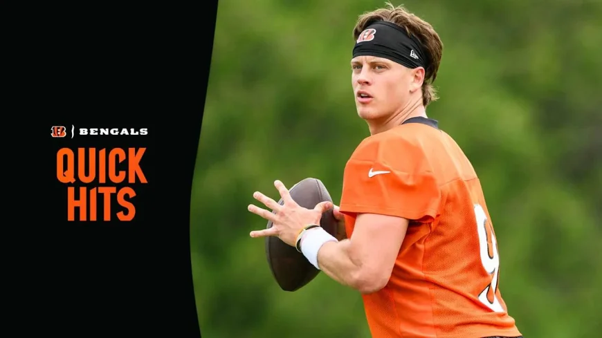 Joe Burrow Targets 48 Touchdowns to Pass Andy Dalton