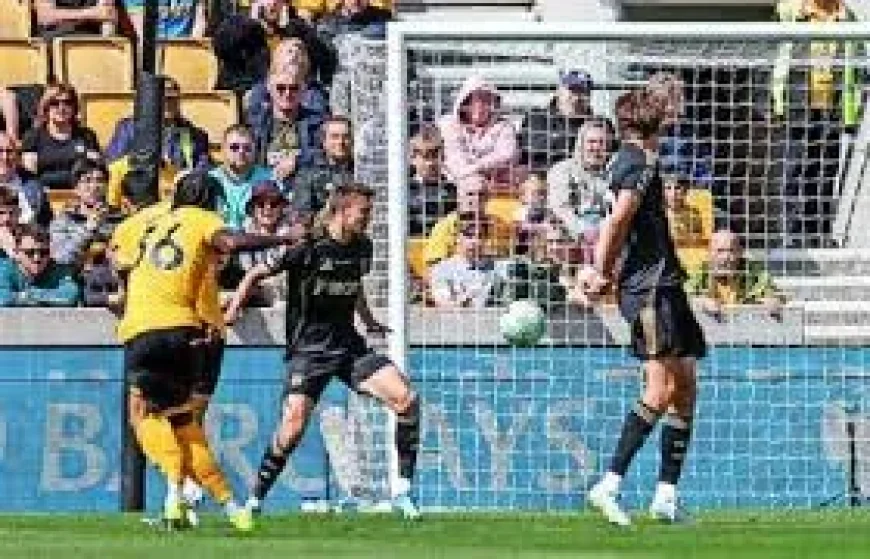 Rob Edwards Urges Wolves in Burnley Vs Wolves Basement Battle