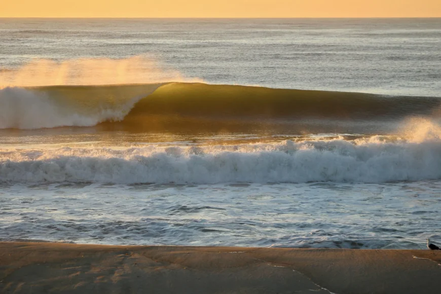 Chris Trainor Backs Summer 2026 on Long Beach Island — Labor Day 2026