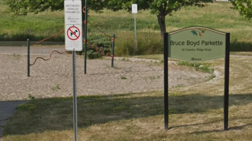 York Region Police Warn of Another Coyote Encounter Near McCowan Road