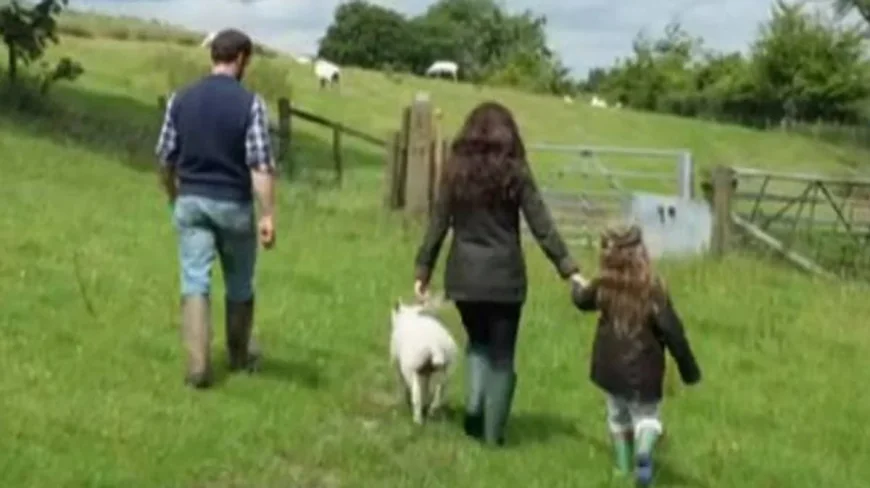 Kelvin Fletcher reunites Aga with flock after emotional goodbye