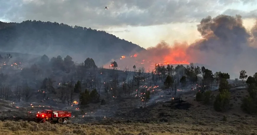 Utah Fire Prompts Evacuations as 5 Wildfires Start in 24 Hours