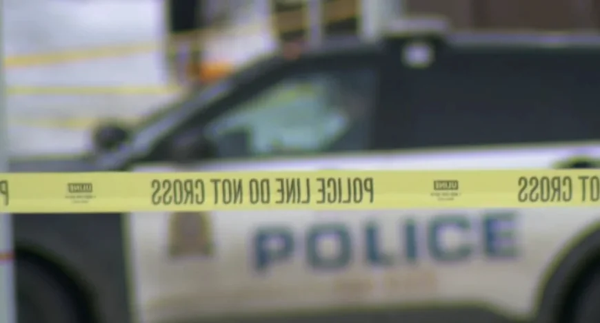 Police investigate 3-year-old found dead in Edmonton — Ctv Atlantic