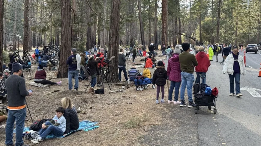 Yosemite National Park Visitor Congestion Surges as 1.8-Mile Roadside Line Forms