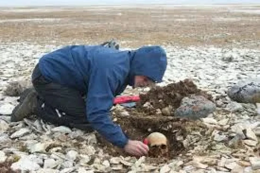 Three Hms Erebus sailors identified through DNA testing