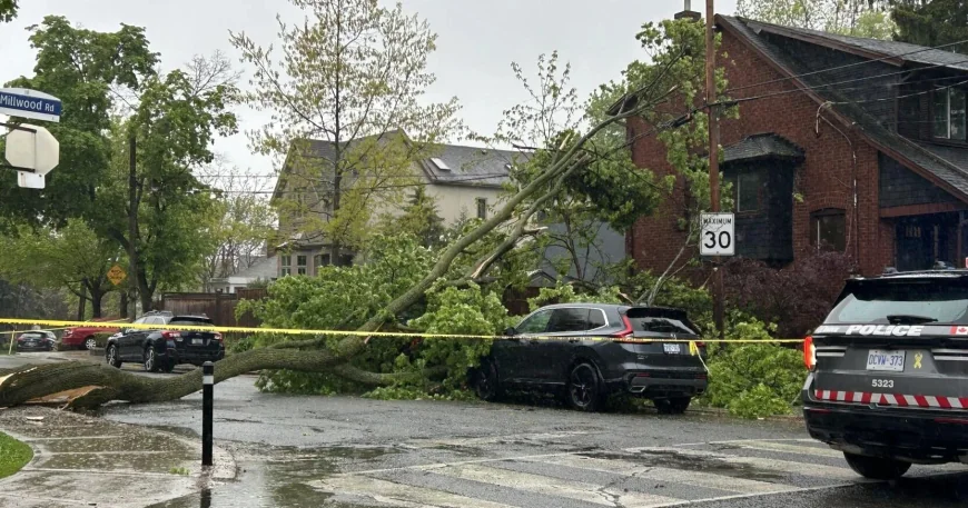 Toronto Hydro, Fire Services handle over 145 outages — Power Outage Toronto