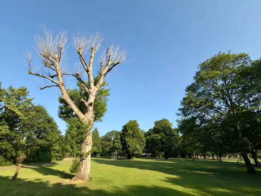 Nottingham Forecast Hits 32C on Bank Holiday Monday — Weather Nottingham