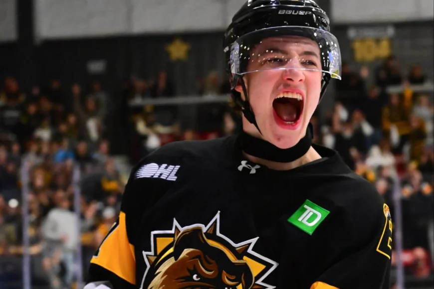 Ivar Stenberg Fits Canucks' Third Pick In 2026 NHL Draft