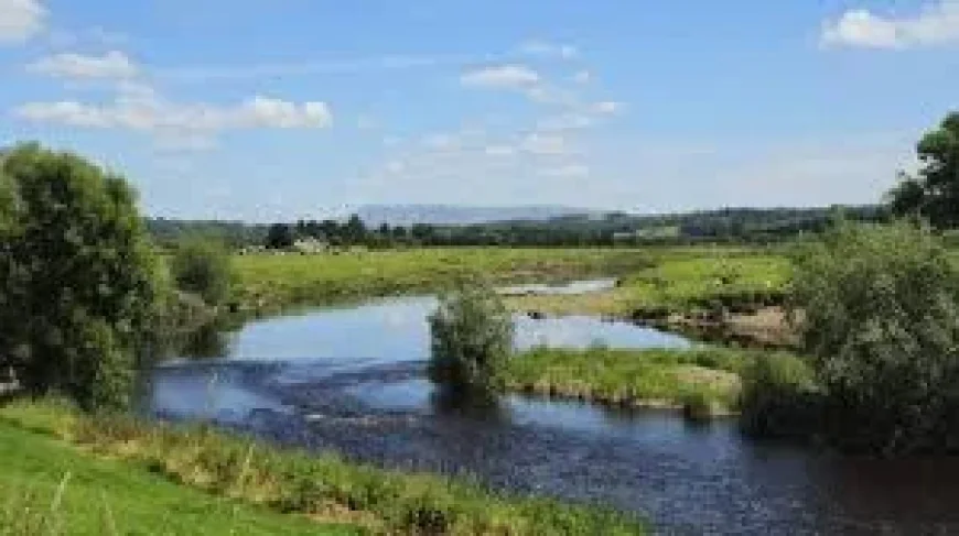 Police search for boy missing after Ribchester River Ribble swim