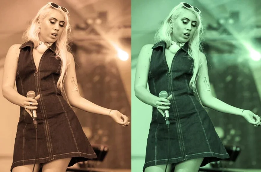 Kali Uchis Headlined Sueños Music Festival in Grant Park