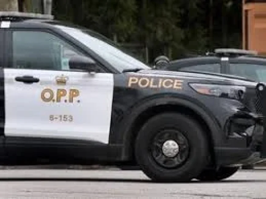 Ontario Provincial Police Taser Arrest in Kingsville Triggers SIU Review
