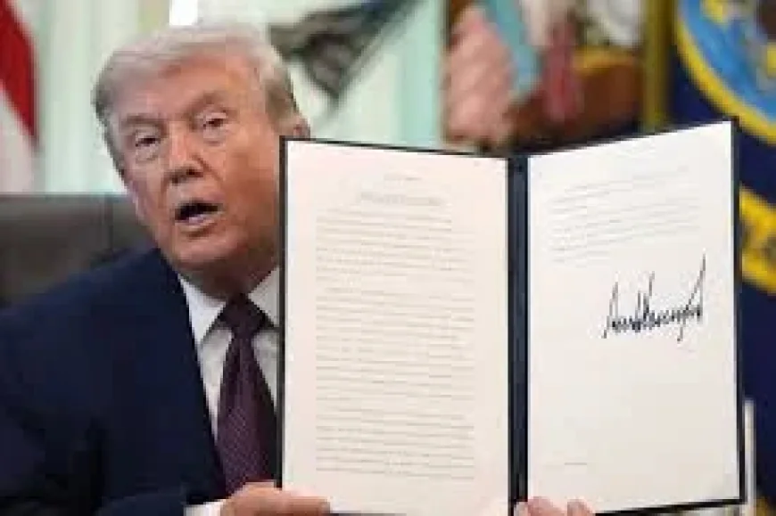 Carl Nichols Declines to Block Trump Executive Order on Mail-In Ballots