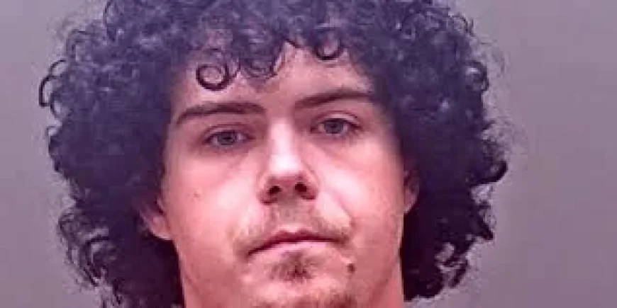 Timothy Chandler Pleads Guilty After Hundreds of Mail Pieces Found — Postal Worker