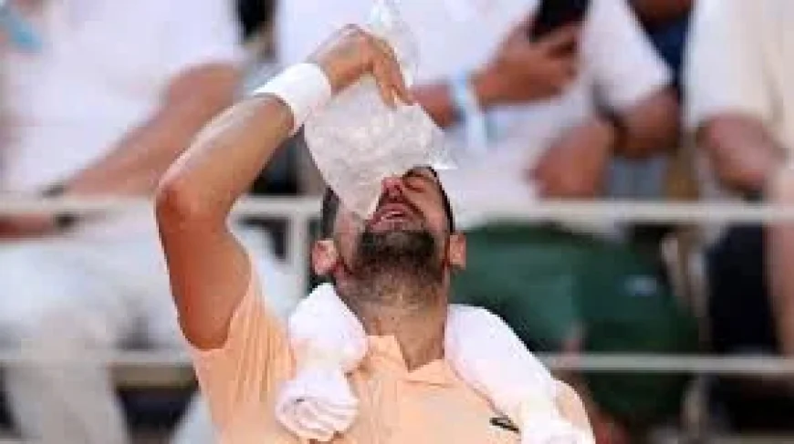 Novak Djokovic advances in Rippling French Open win over Royer