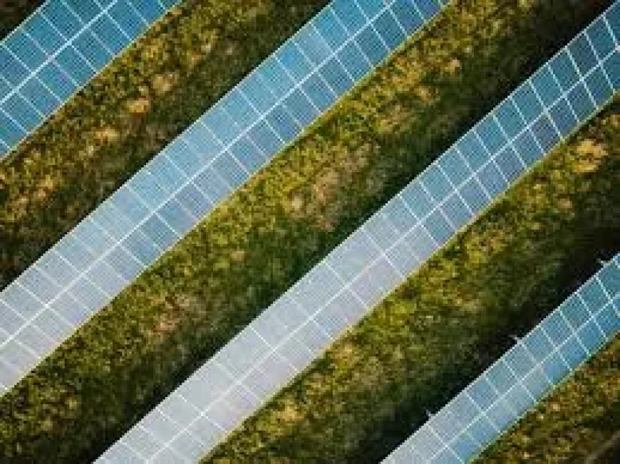 First Solar, Enphase Energy and Canadian Solar Lead Solar Power Outlook