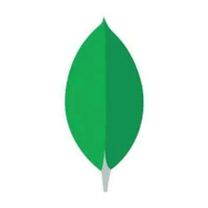 MongoDB Sets Mdb Stock Up for May 28 Earnings