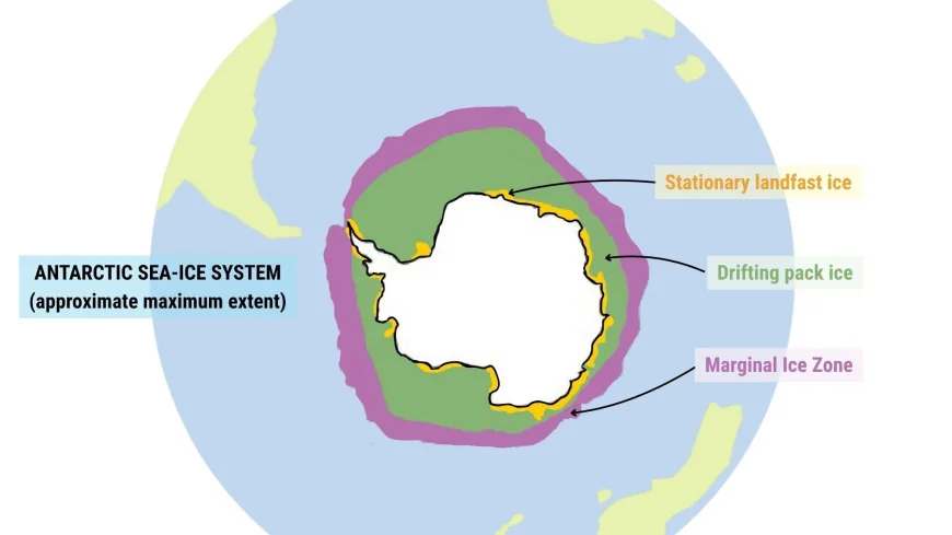 Scientists measure 16% of Southern Ocean sea ice waves affect
