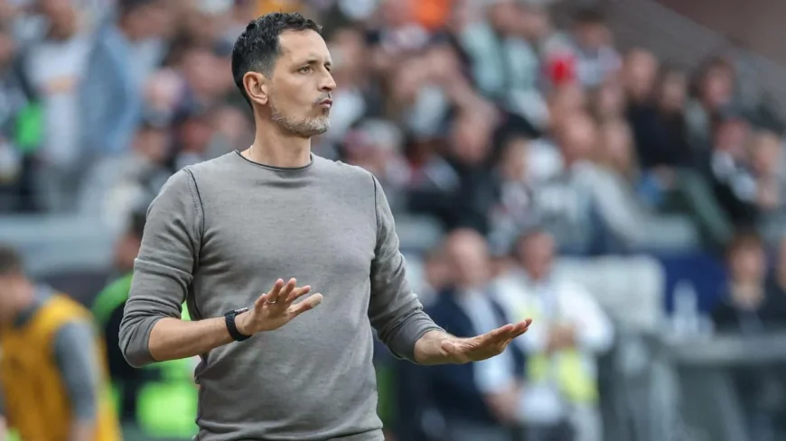 Dino Toppmöller in Talks With Crystal Palace Over Summer Role