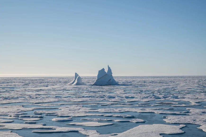 Arctic Ocean nitrate levels fall after 2009 sea-ice loss