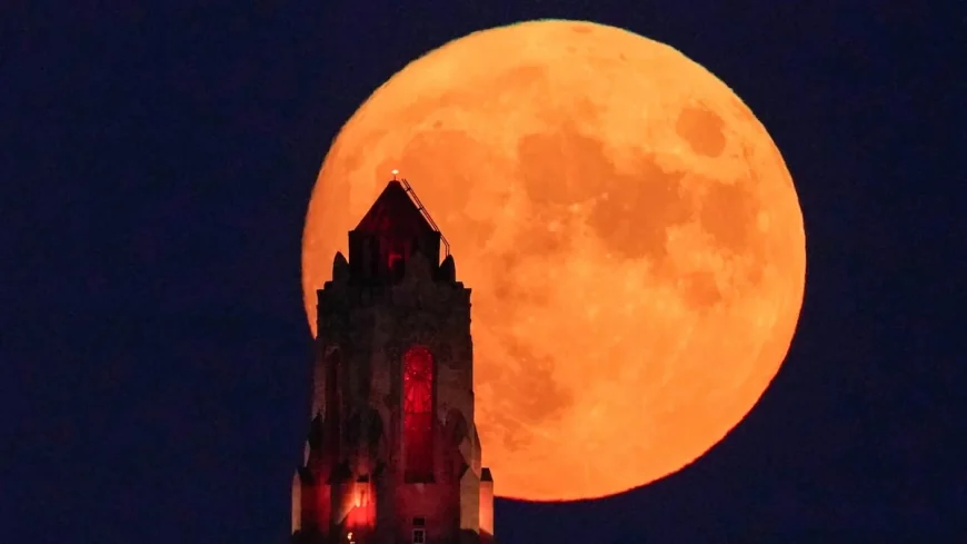 Blue Moon May 2026 Brings Rare Micromoon on May 31