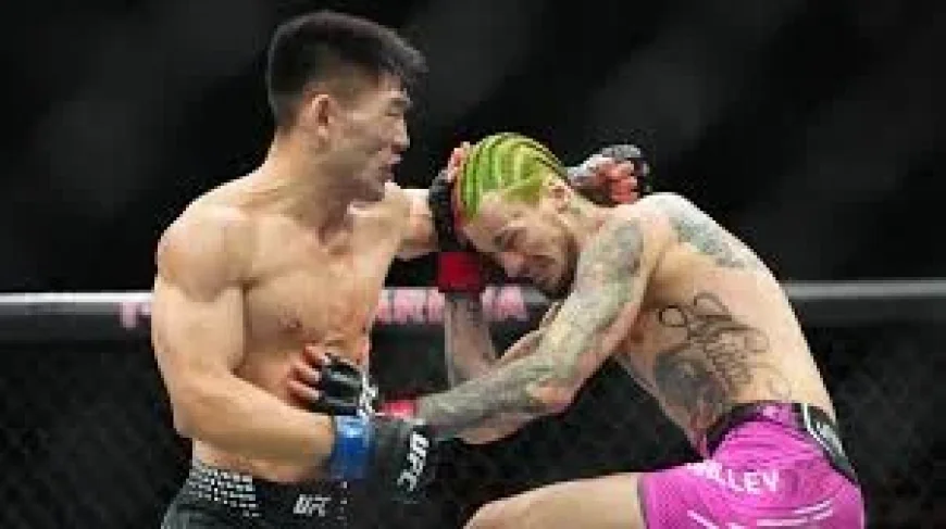 Jaqueline Amorim meets Loma Lookboonmee in UFC Macau prelims