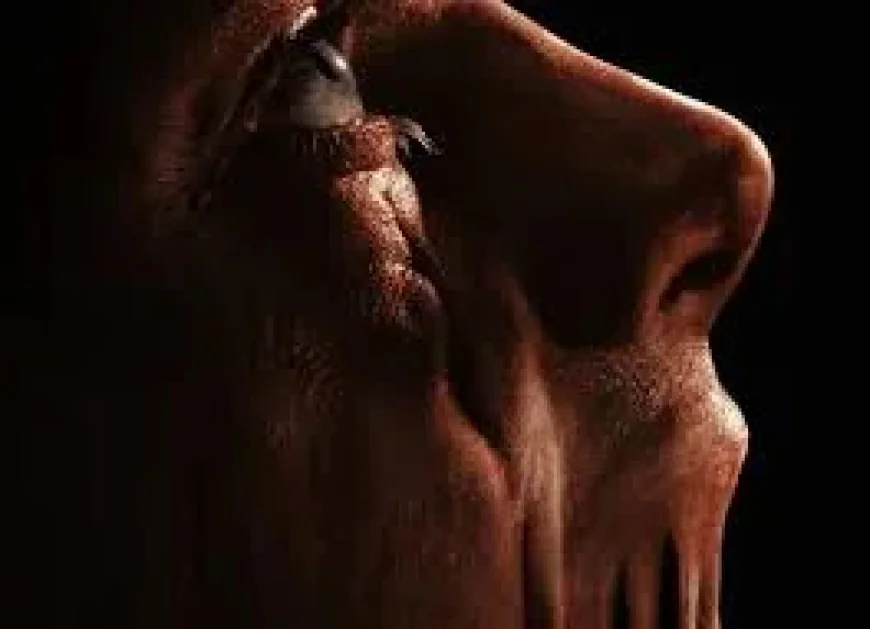 Volker Bertelmann Scores Clayface, Dune Movie Team Gains Oscar Winner