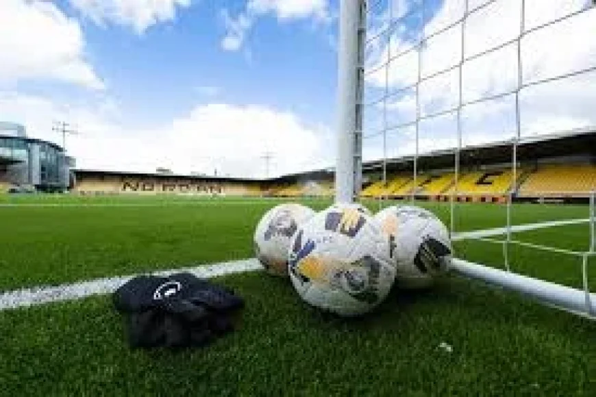 Glenn Whelan Takes Charge at Livingston After Relegation