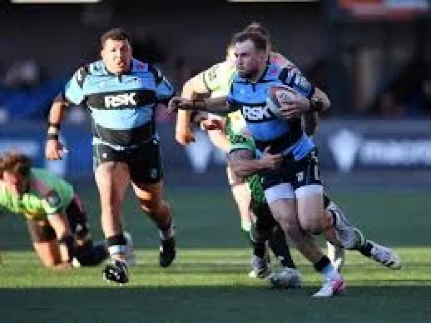 Cardiff Face 32% Odds Against Stormers in Cape Town — Stormers Vs Cardiff Rugby