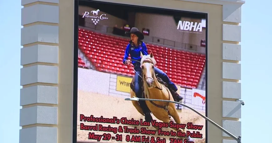 Police Arrest Teen in Las Vegas Horse Stabbing at South Point