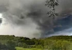 Metoffice forecasts rain and cooler air after 35.1C London record