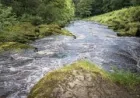 North Yorkshire Police say girl dies after Burnsall rescue