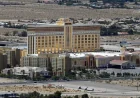Teen Arrested After Three Horse Stabbings at Las Vegas Show