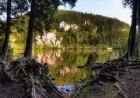 Squamish RCMP recover 2 from Browning Lake