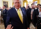 Kara Swisher says Trump’s Silicon Valley ties expose a risky alliance