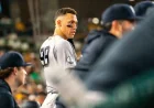 Judge Will See Specialist Wednesday on Rib Bruise — Aaron Judge Injury