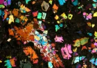 Aaron Bell Links Meteorite NWA 12774 to Lost World