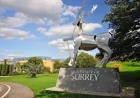 Jon Groenen says suspect detained after Surrey Crossbow shooting