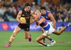 Bodie Ryan Returns as Hawthorn Vs Bulldogs Opens at MCG