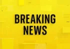 Almunthir Daqamah charged over Surrey crossbow attack